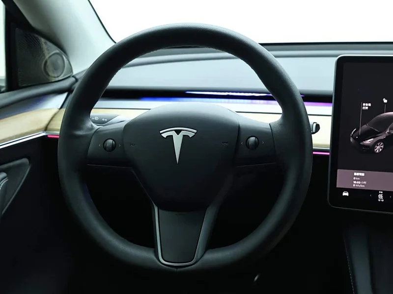 Tesla Model Y — фото 16