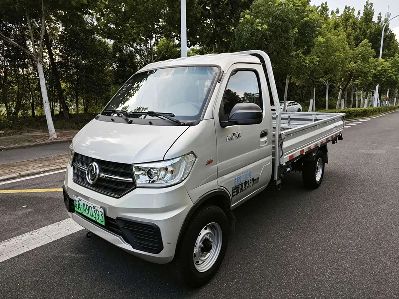 Cowin Kaput EV80