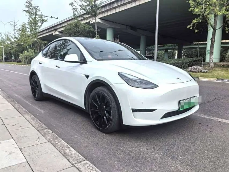 Tesla Model Y — фото 3