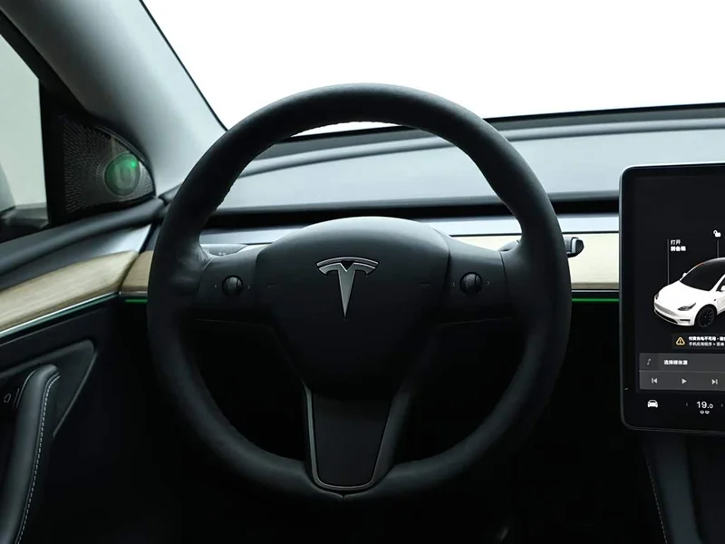 Tesla Model Y — фото 16