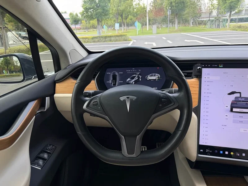 Tesla Model X — фото 12