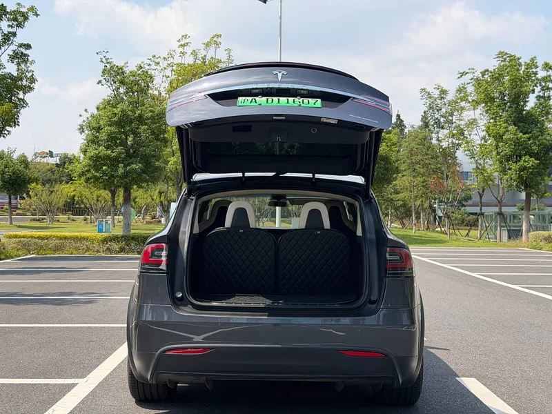 Tesla Model X — фото 13