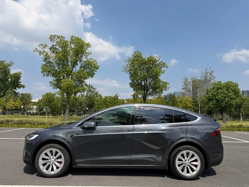Tesla Model X — фото 14