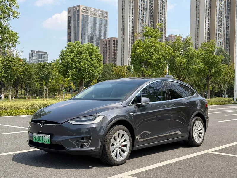 Tesla Model X — фото 16