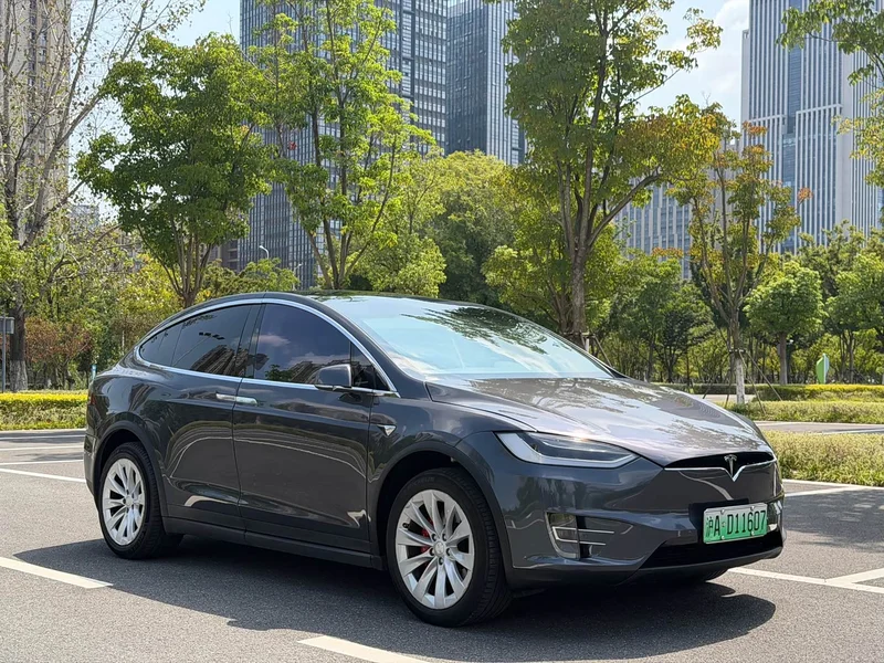 Tesla Model X — фото 18