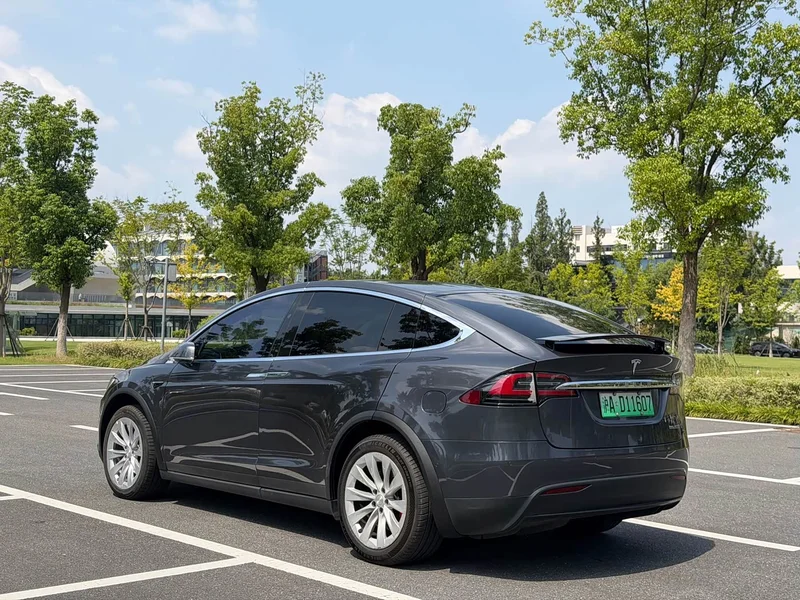 Tesla Model X — фото 19