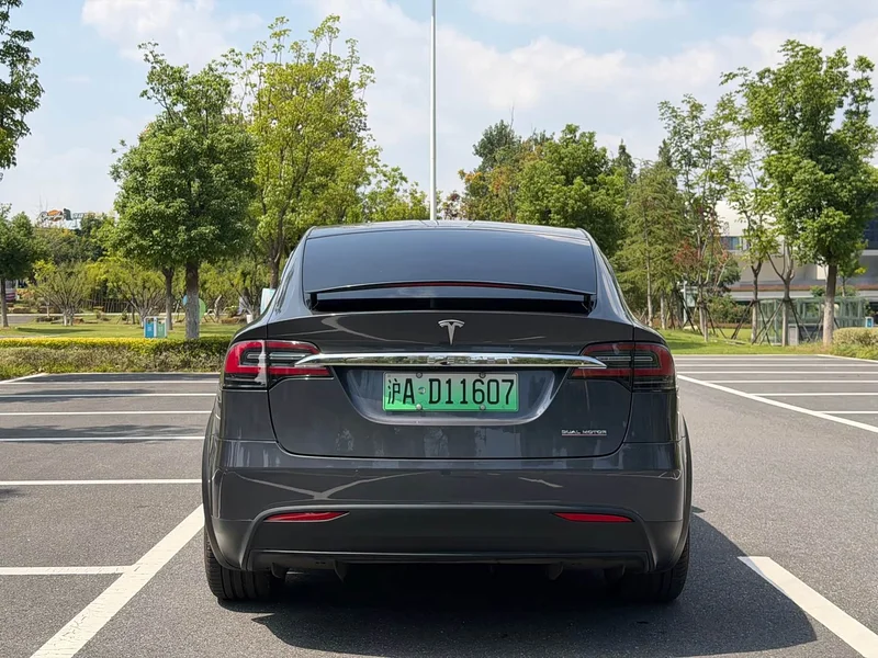 Tesla Model X — фото 20