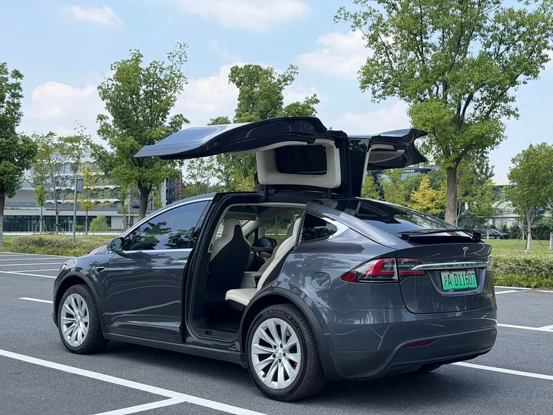 Tesla Model X — фото 22