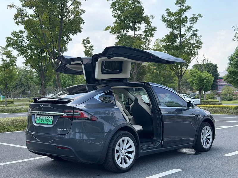 Tesla Model X — фото 6