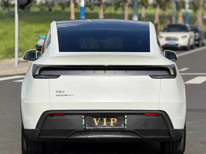 Tesla Model Y — фото 9