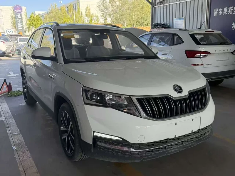 Skoda Kamiq — фото 11