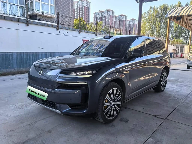 Denza N9