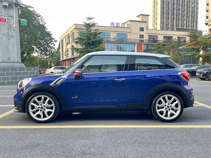 MINI PACEMAN — фото 12