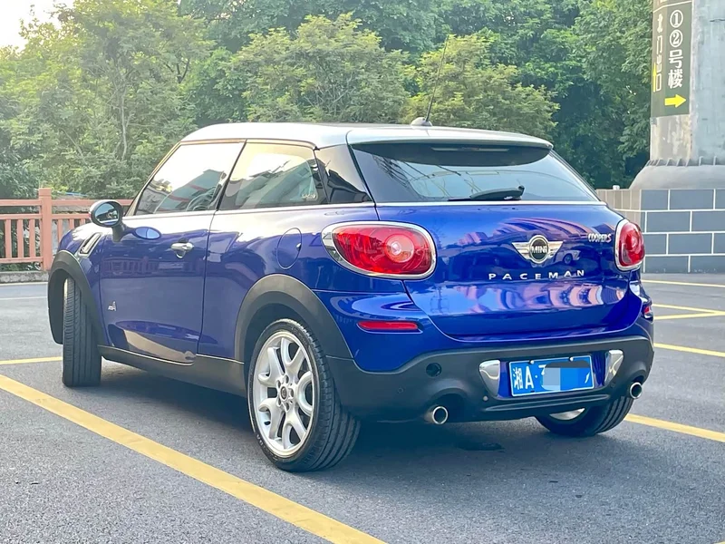 MINI PACEMAN — фото 6