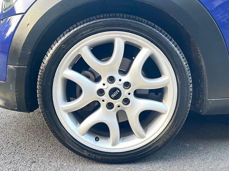 MINI PACEMAN — фото 9