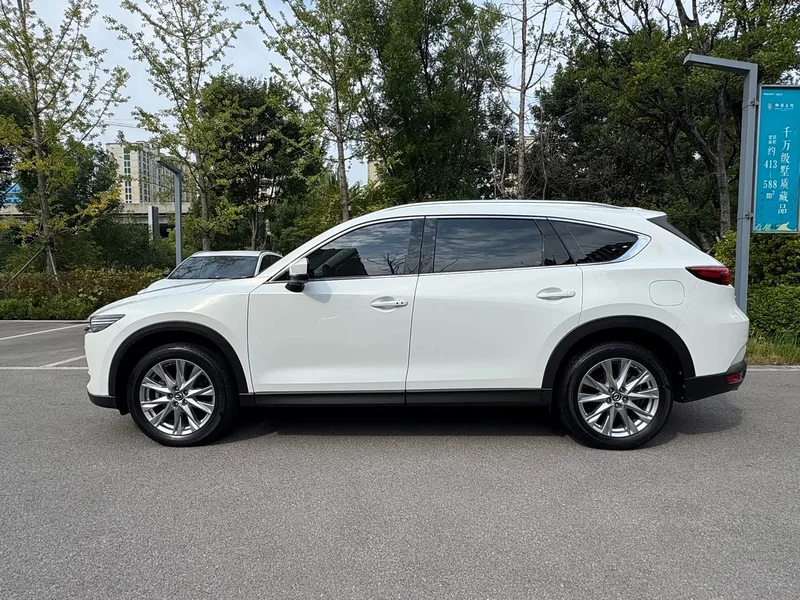 Mazda CX-8 — фото 19