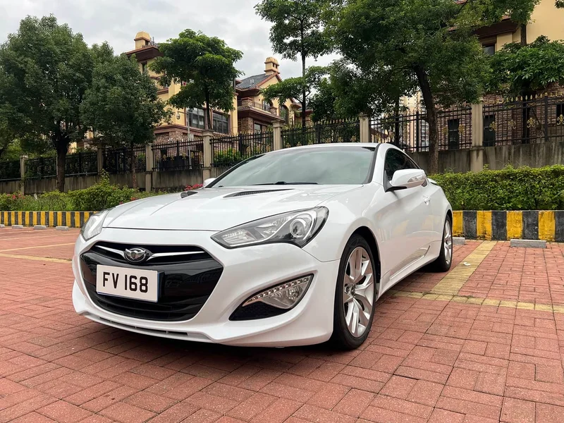Hyundai Rohens Coupe — фото 1
