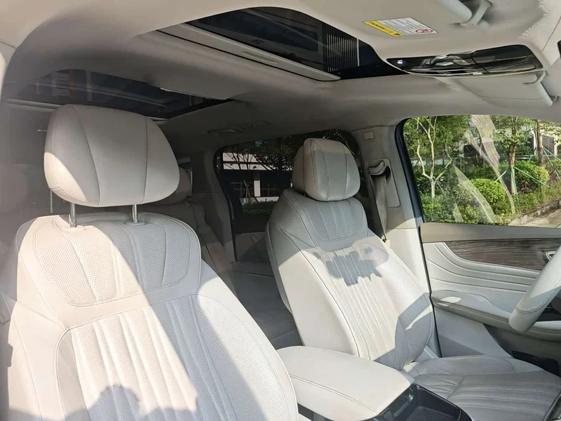 Roewe iMAX8 New Energy — фото 12
