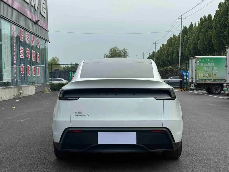 Tesla Model Y — фото 4