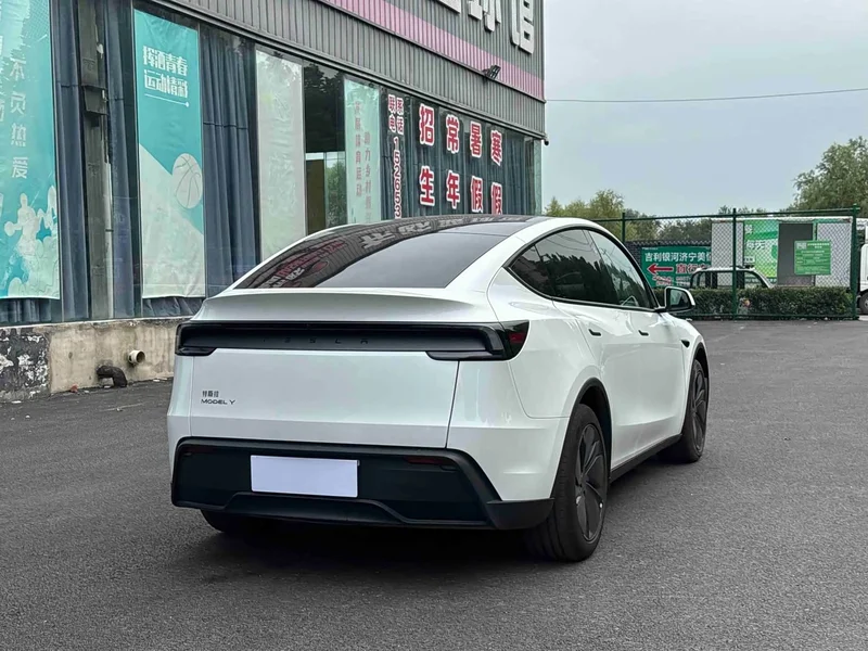 Tesla Model Y — фото 6