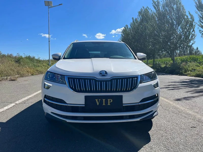 Skoda Karoq — фото 2