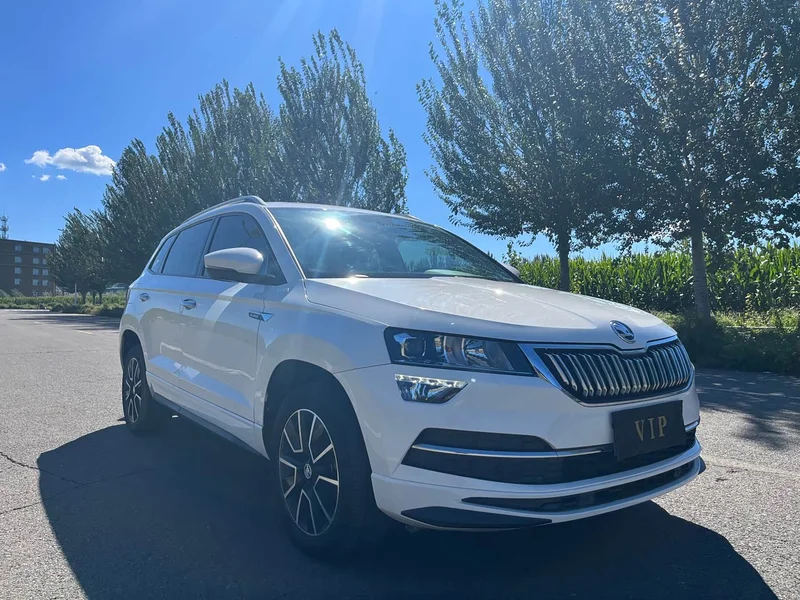Skoda Karoq — фото 3