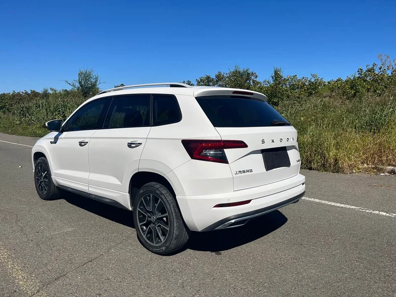 Skoda Karoq — фото 5