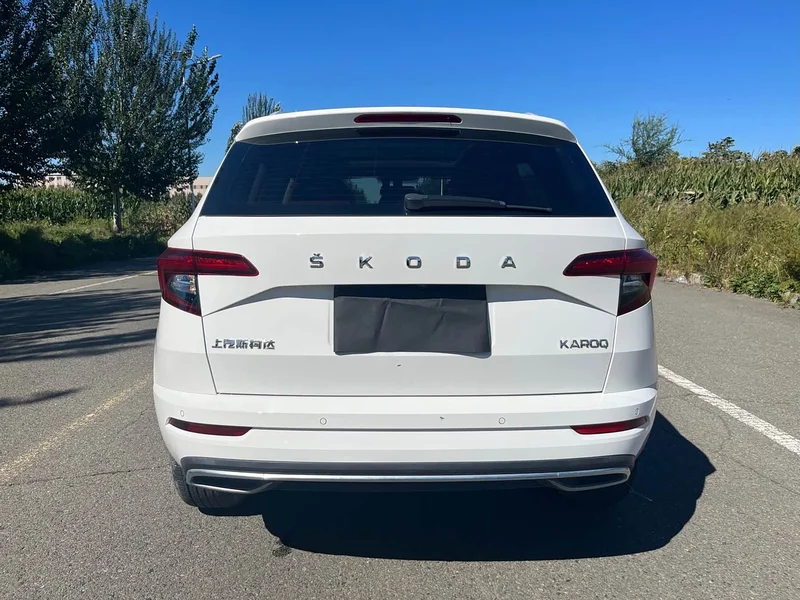Skoda Karoq — фото 6