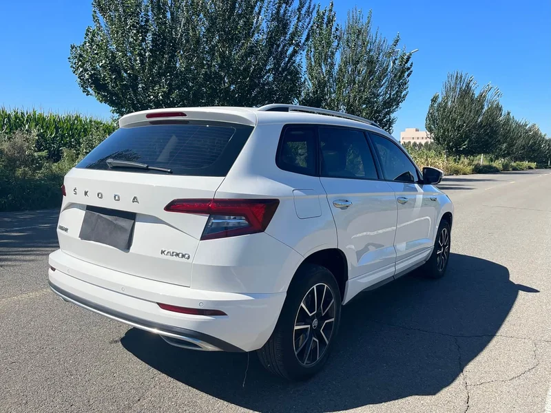 Skoda Karoq — фото 7