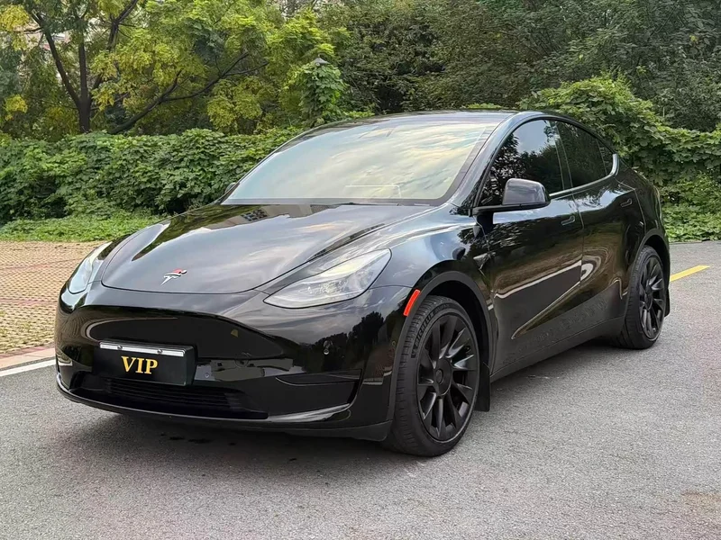 Tesla Model Y — фото 1