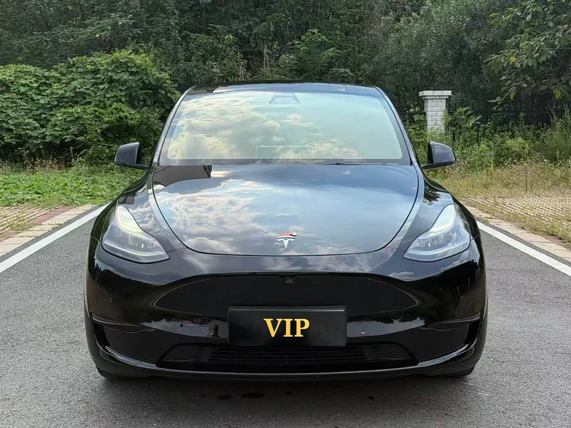 Tesla Model Y — фото 2