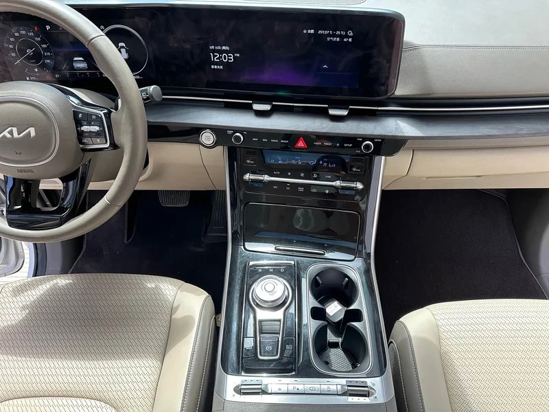 Kia Carnival — фото 15