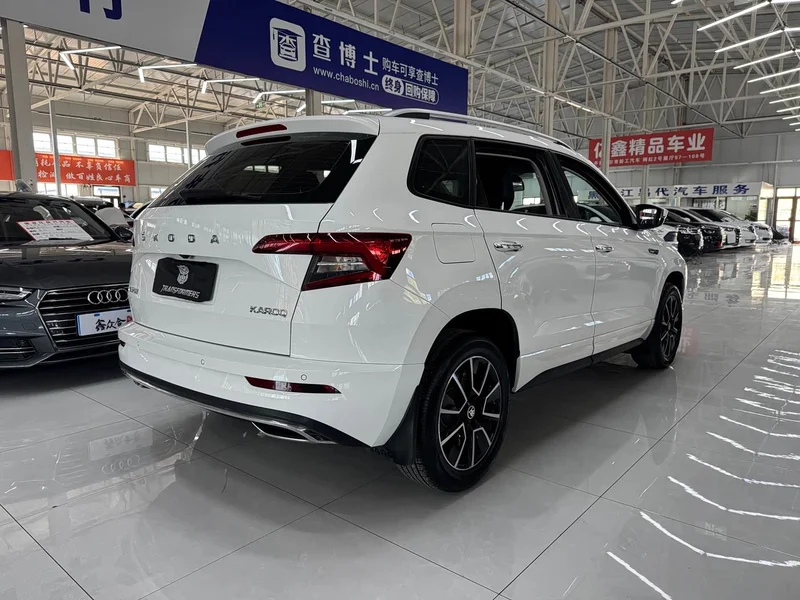 Skoda Karoq — фото 5