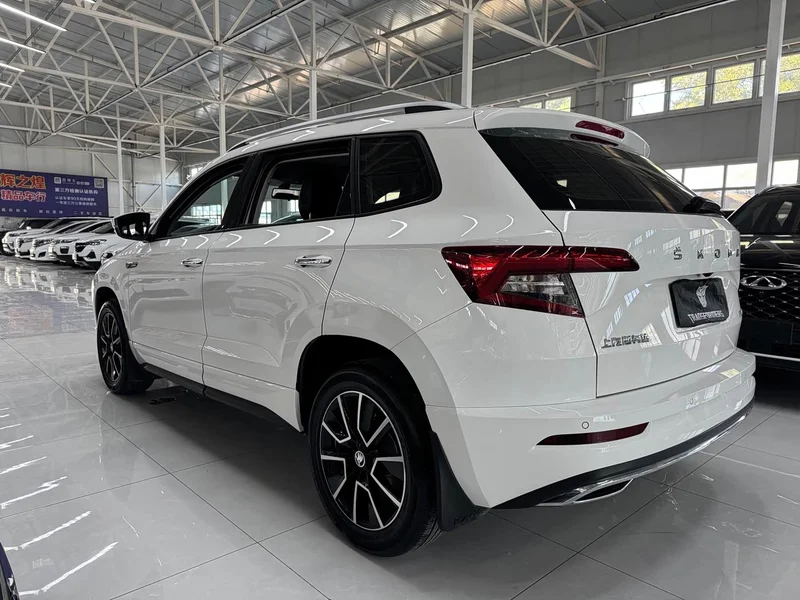 Skoda Karoq — фото 6