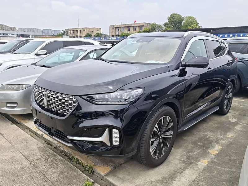 Wey VV6