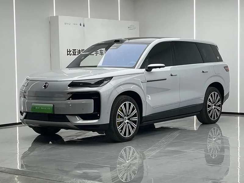 Denza N9