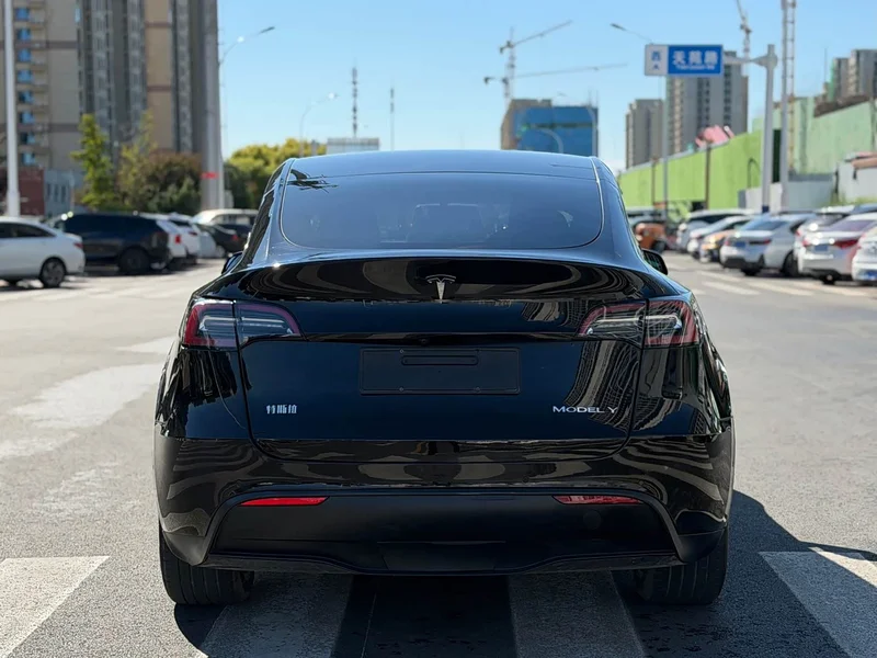 Tesla Model Y — фото 13