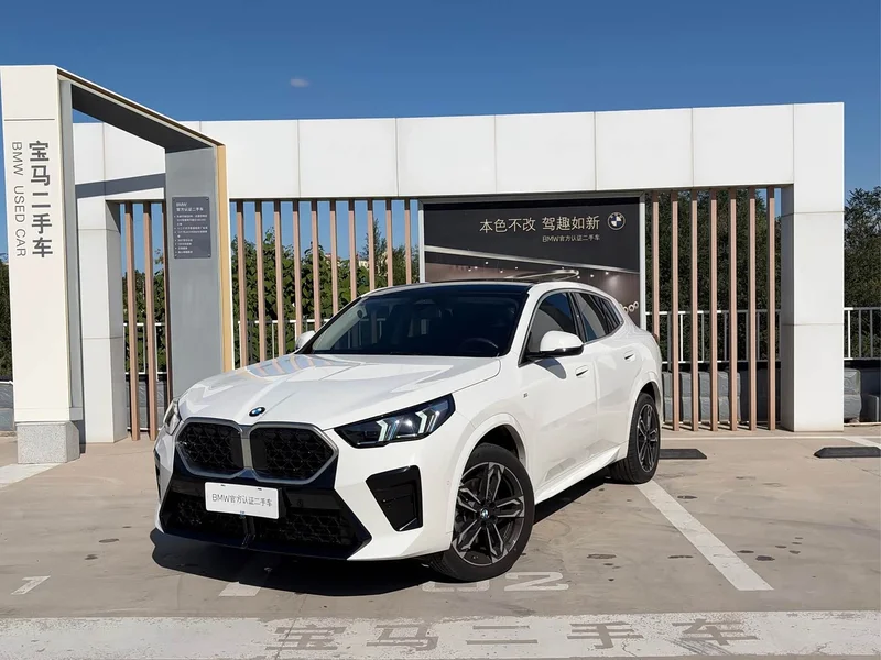 BMW X2 — фото 1