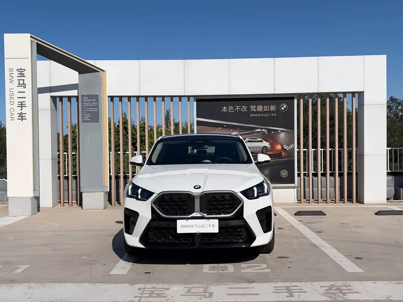 BMW X2 — фото 2