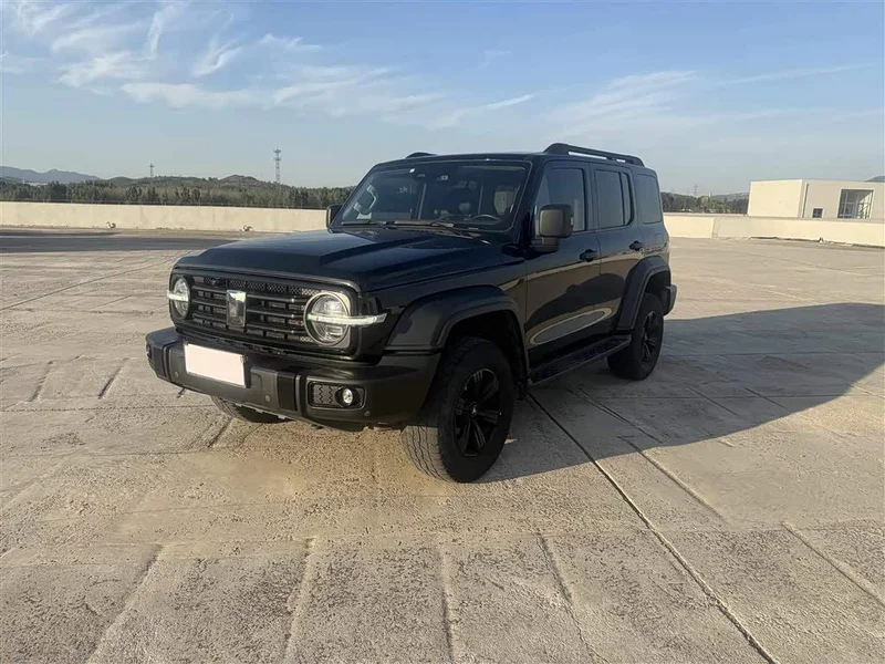Tank 300