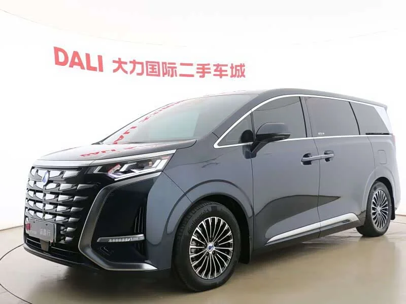 Denza D9