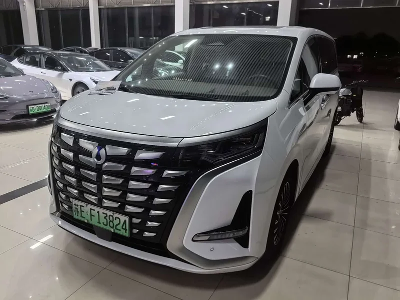 Denza D9
