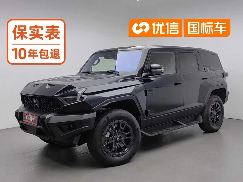 Mengshi 917