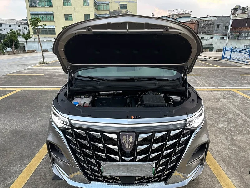 Roewe iMAX8 New Energy — фото 30