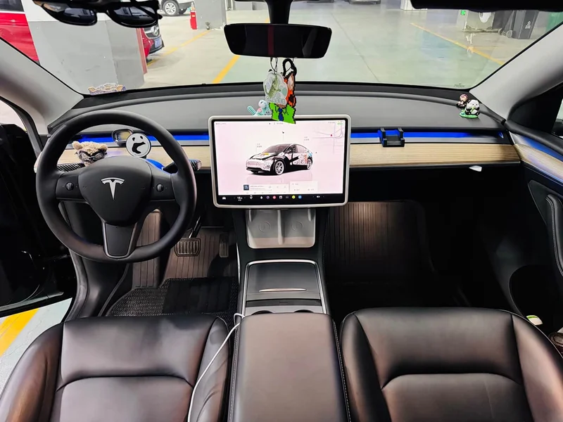 Tesla Model Y — фото 14