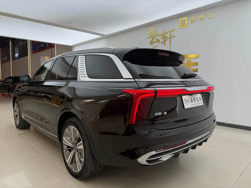 Hongqi E-HS9 — фото 21