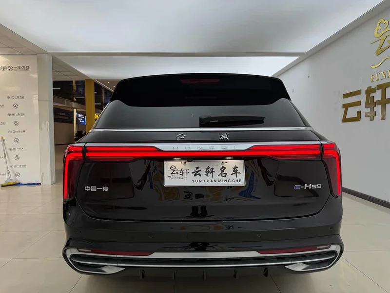 Hongqi E-HS9 — фото 22