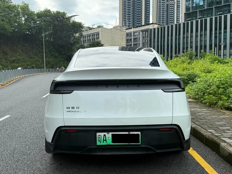 Tesla Model Y — фото 17