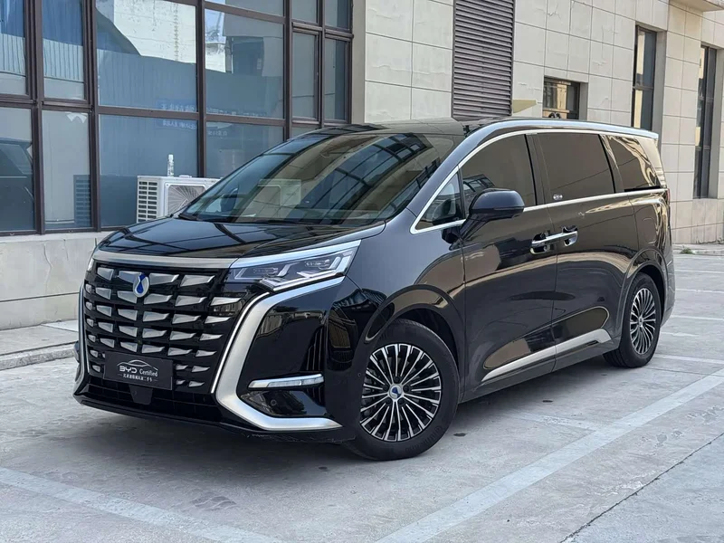 Denza D9