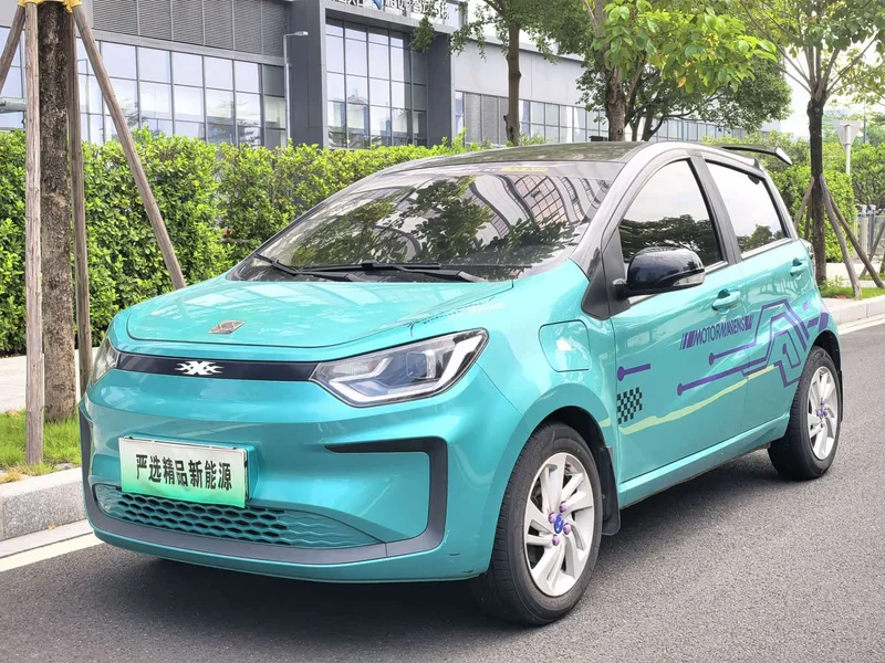 Baojun Flower Fairy